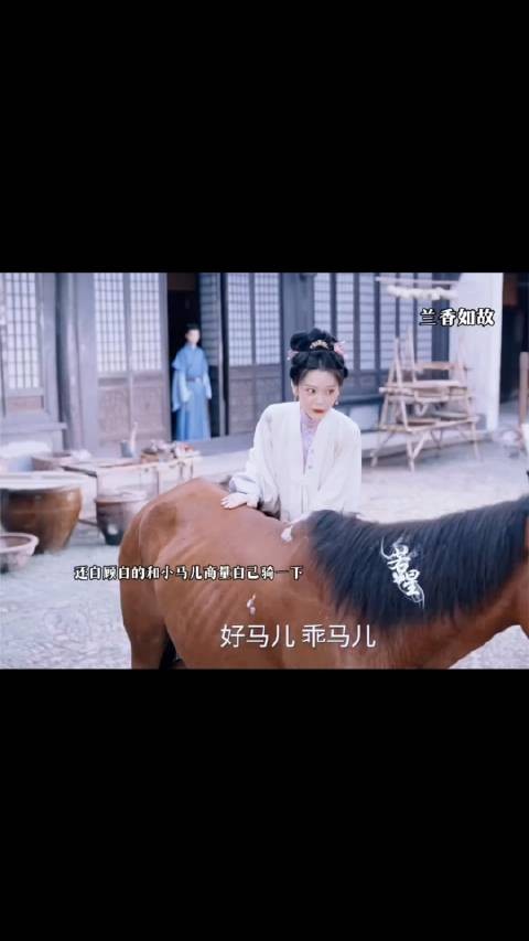 谢昭就这样偷看二妹妹
