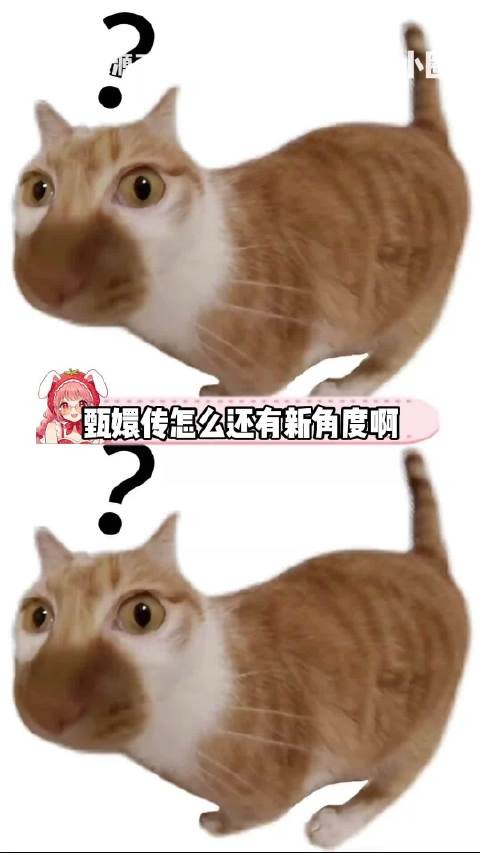 甄嬛自觉不爱皇上,却更像纯元