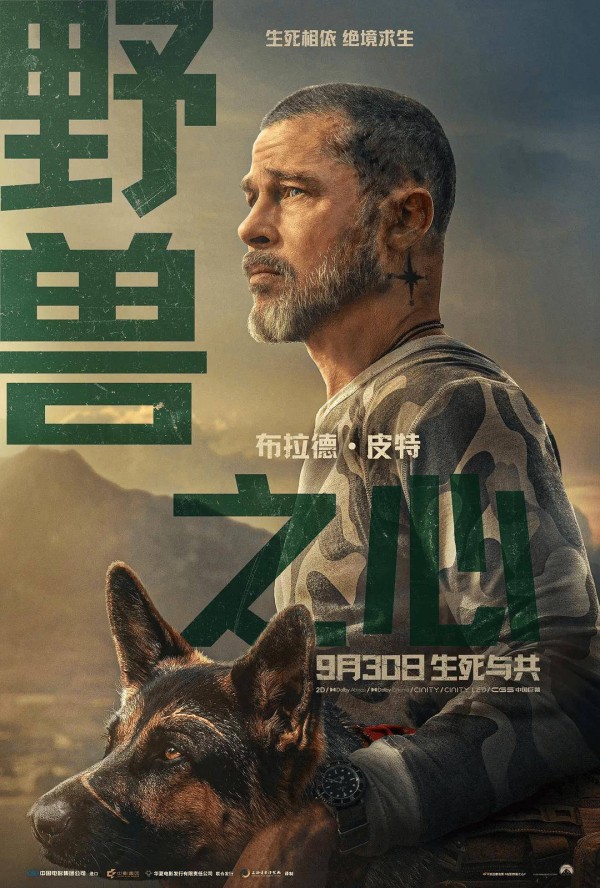 《野兽之心》的医学问题：绝境见本心，陪伴愈余生