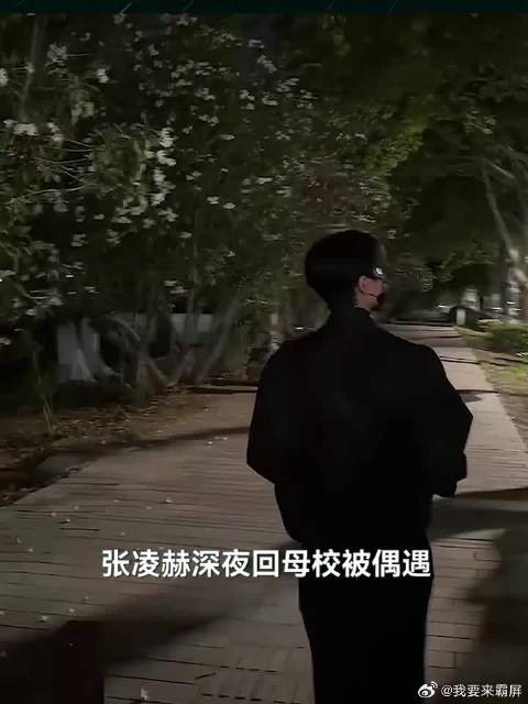 张凌赫回母校被学妹认出,一句“很久没人叫我学长了”引发共鸣