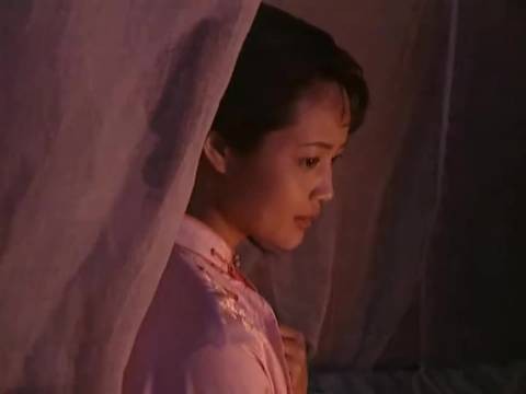 四嫂真是个大方的女人不料被人搅了好事因为一个片段看了整部电影