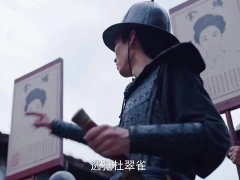 前有安小鸟,后有杜麻雀,鸟类逐渐崛起