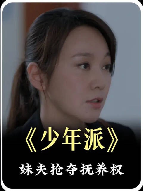 妹夫想要抢夺抚养权,姐姐帮理还是帮亲?