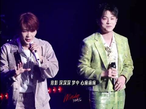 武艺因为咬字比较标准些吧,而且本身也有唱功,所以好听顺耳些 武艺