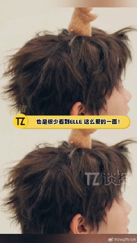 两登ELLE ,创下首位运动员开年、开季双封纪录,孙颖莎 到哪都是顶级的存在!…