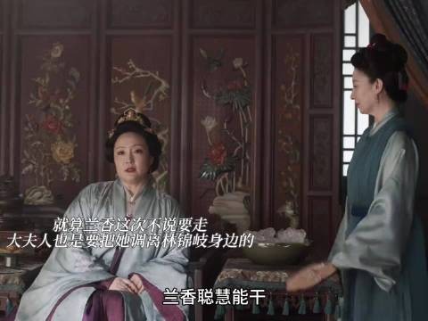 大夫人执意调离兰香远离林锦岐