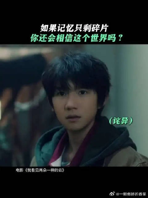 如果记忆都是假的,那我到底活在怎样的世界里