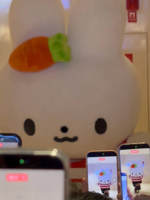 我真不行了 家兔这人气,顶流来了