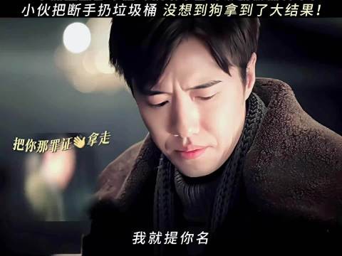 最后恰巧扔回给司机，给人吓毁了！