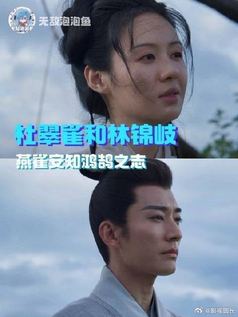 杜翠雀想要的终点只不过是林锦岐的起点