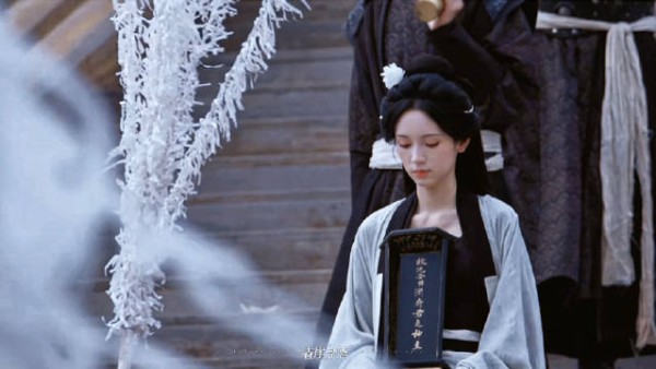 谢清圆完全继承大统的皇太女