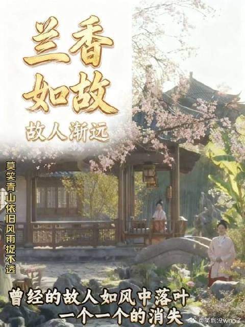 兰香如故大结局，兰香离开的时候有想念林锦岐吗