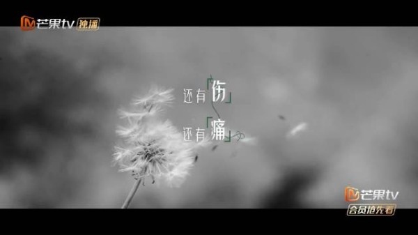 大家还记得当时讨论度很高的综艺再见朋友吗？