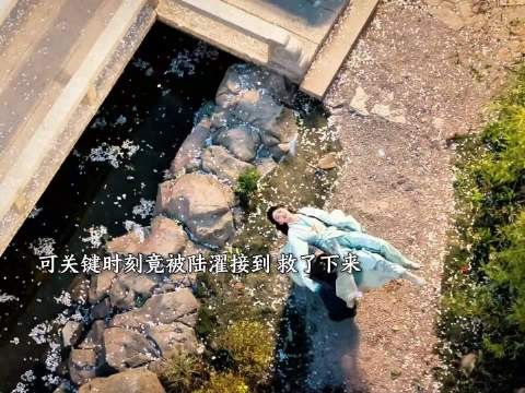 魏娆争吵后有人坠楼，现场混乱喊为何杀我