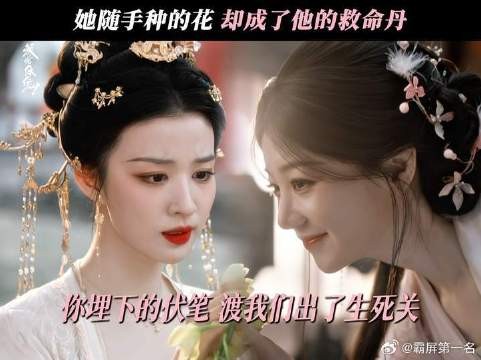 你随手种下的因，却成为了最重要的果