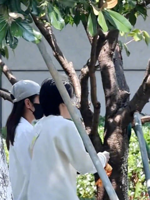 李云霄长三角电影周开幕式彩排上班 期待青年大使兜兜