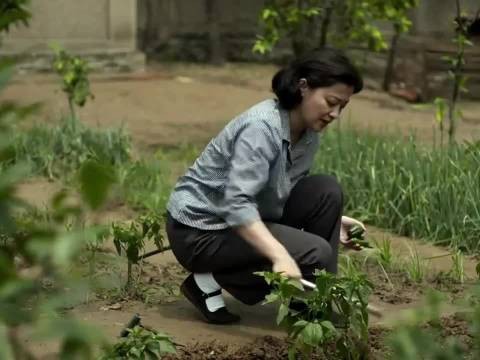 找司务长比嫁二婚没孩子强