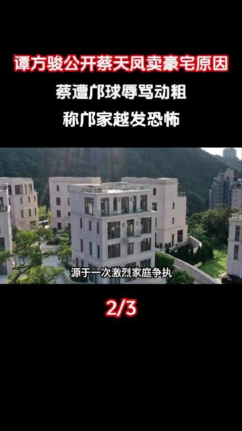 我有点看不懂啊，谁来给我解释一下 所以两任丈夫什么关系呢？