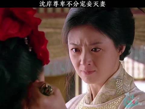 沈岸尊卑不分宠妾灭妻