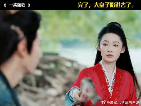 完了,大皇子陷进去了