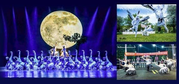 鹤舞濒危时，一群年轻人站了出来
