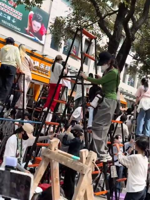 妈呀，梯子成了追星人的香饽饽啦
