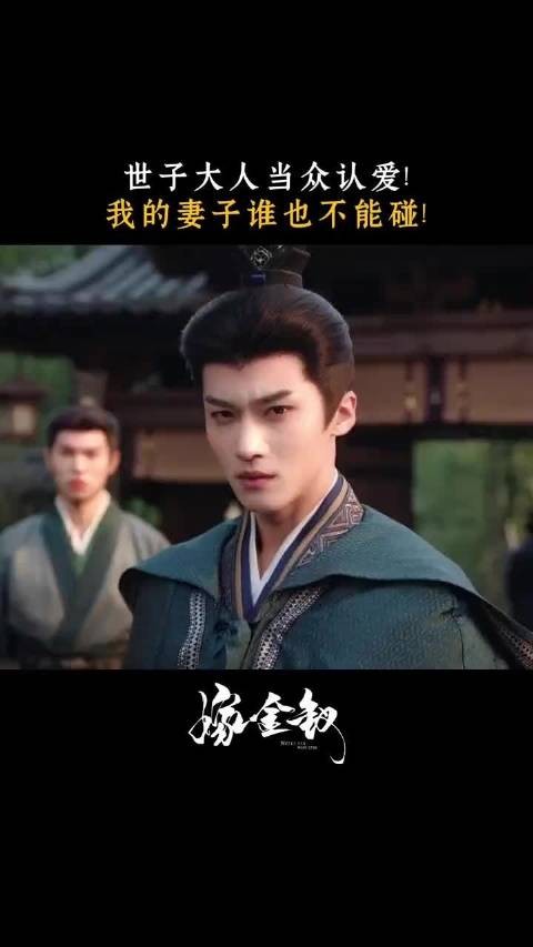 嫁金钗闫桉霸气护妻