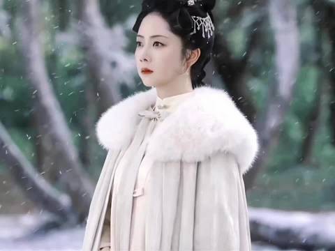 汉王谋反林锦岐临行亲兰香，芦苇荡鸭棚教火铳发烧晕倒