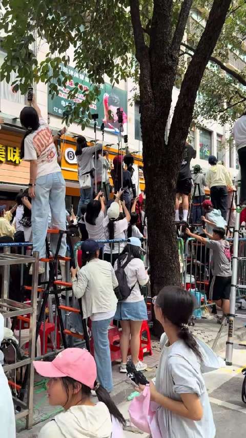 追星太疯狂，头一次见到这么多梯子