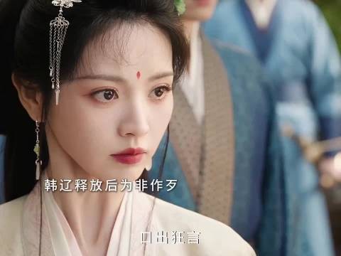 韩辽释放后为非作歹