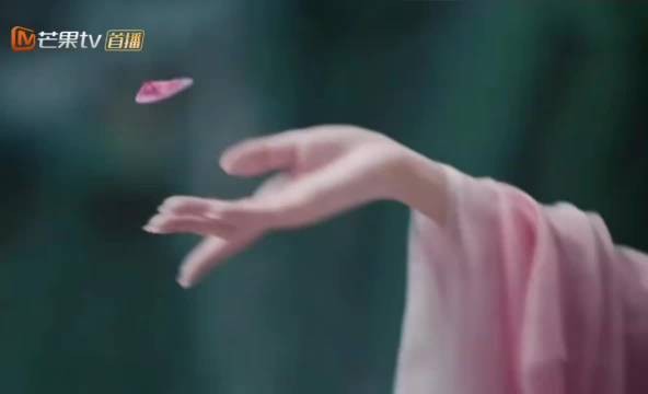 “用花瓣下棋也太装杯了… ”