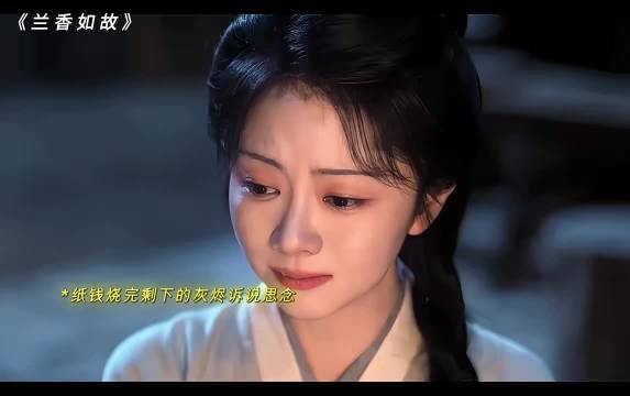 灰烬寄托思念落雪回应思念，陆先生与幸存者兰香如故
