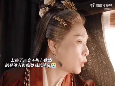 丽昭仪漠视魏娆苦难,迟来心疼无意义