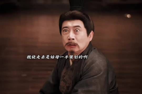 姑姑曾经想用石灰水鲨了小魏娆