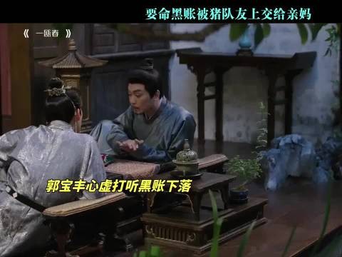要命黑账被猪队友上交给亲妈