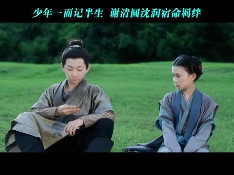 少年一面记半生谢清圆沈润宿命羁绊