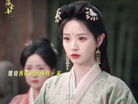 嫁金钗魏娆善良被养母一家消耗