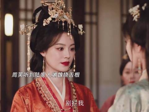 魏娆被陆家人嚼舌根,丽昭仪霸气护女