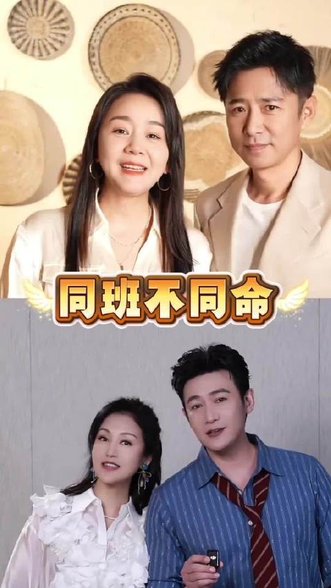 王一楠嫁金钗反派制霸荧屏，陆毅六姊妹收视破4