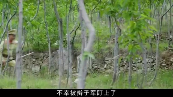 卖桃小伙被追捕逃入桃枝家，二人反抗推敌下悬崖