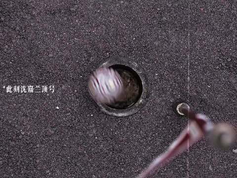 沈嘉兰顶号 兰香如故