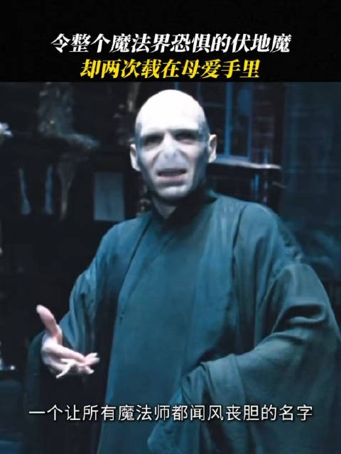 一生钻研黑魔法的伏地魔，却两次败给母爱！