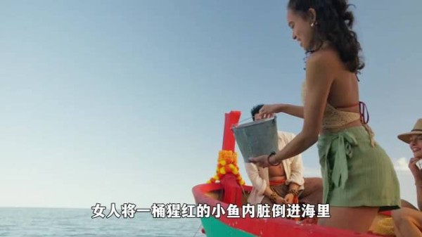 姐妹花非要近距离观赏鲨鱼,结局就是被困鲨群,付出了惨痛的代价!