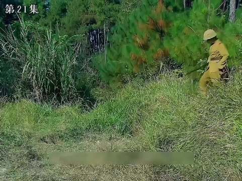 小战士好样的,支持小战士