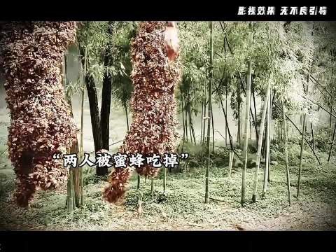 那个男人被一只大蜜蜂叨走了