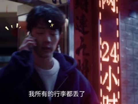 牌子猫历险记