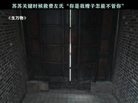 苏苏用真心与胆识闯出自己的一片天,生万物 秦海璐 邢菲