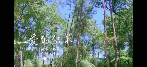于正承包青春古装BGM，从爱的供养到雪落下的声音