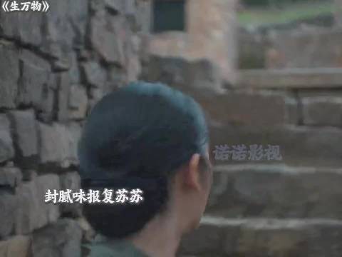 腻味疯狂报复宁家人，不料郭龟腰也被打成重伤