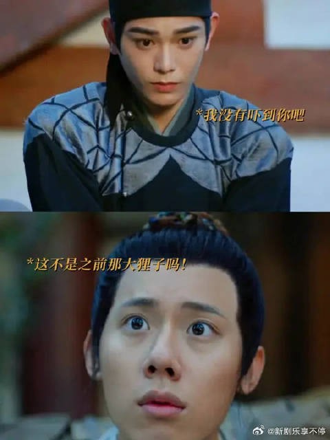 第一次遇险便是你救了我，我又怎么会怕你